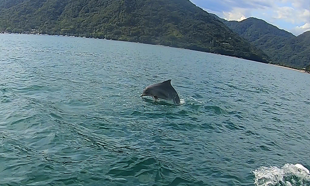 Passeio De Lancha Em Ubatuba Panor Mico Praias